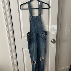 Levi's Distressed Skinny Overalls